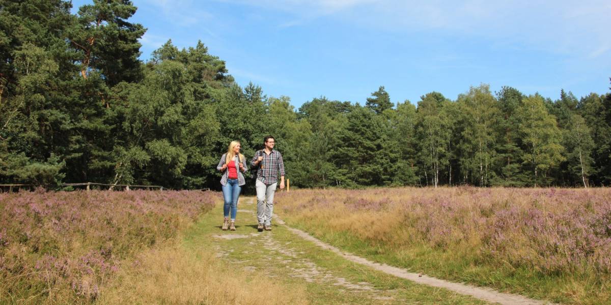 Emsquellen Wanderweg © Touristikzentrale Paderborner Land / Manuela Fortmeier